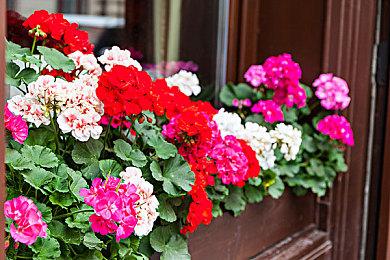 《星际：异端先知》配乐情报公布 九寸钉创始人操刀